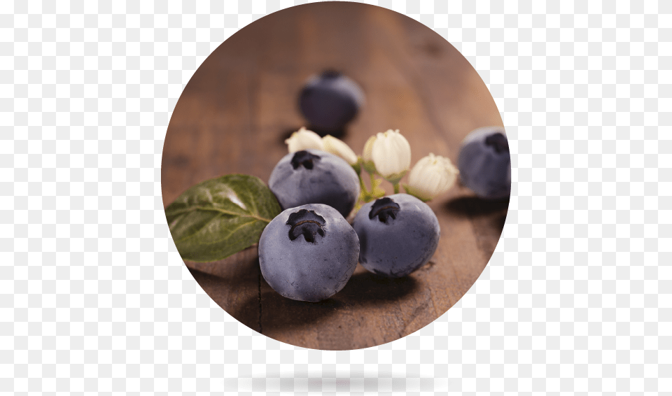 Organic Blueberry Bionest Agricultura Ecolgica Bilberry, Berry, Food, Fruit, Plant Free Png Download