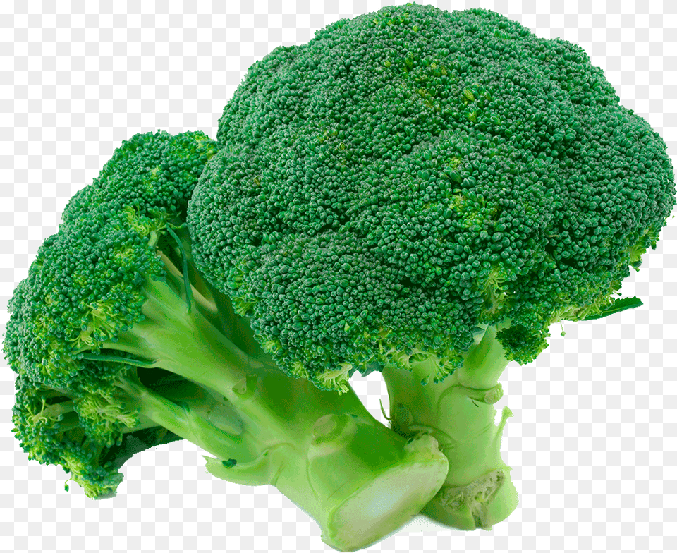 Organic Broccoli Green Broccoli, Food, Plant, Produce, Vegetable Png Image