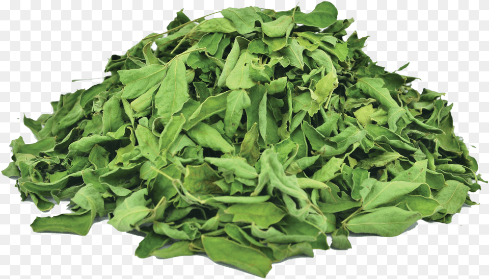 Organic Cassia Leaves Spinach, Herbal, Herbs, Plant, Arugula Free Transparent Png