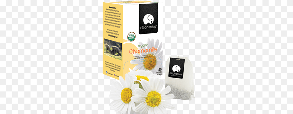 Organic Chamomile Chamomile, Herbs, Daisy, Plant, Flower Free Png Download