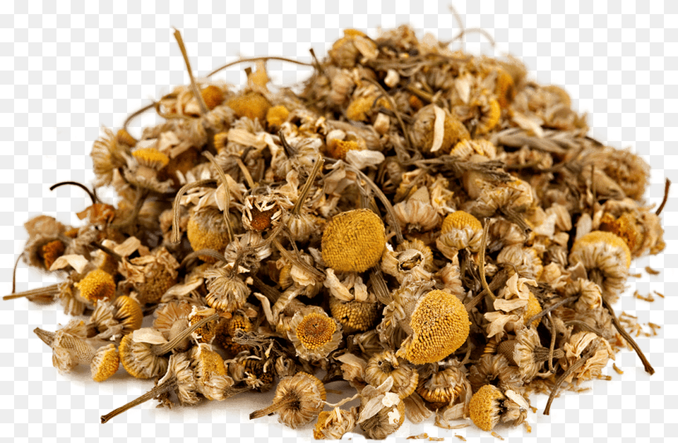 Organic Chamomile Seed, Herbal, Herbs, Plant, Pollen Free Png