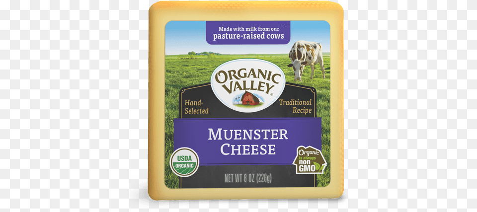 Organic Cheddar Cheese, Animal, Cattle, Cow, Livestock Free Png