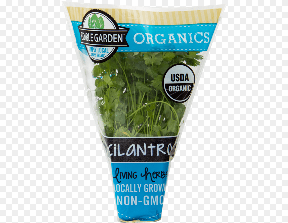 Organic Cilantro Edible Garden Organic Herbs, Plant, Parsley, Food Png