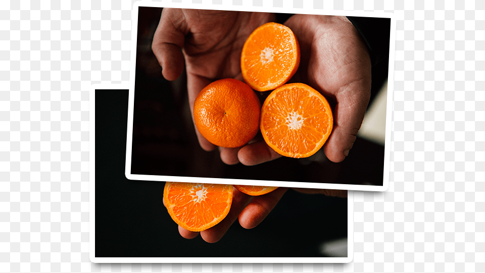 Organic Clementine Mandarins Blood Orange, Citrus Fruit, Food, Fruit, Grapefruit Free Png Download
