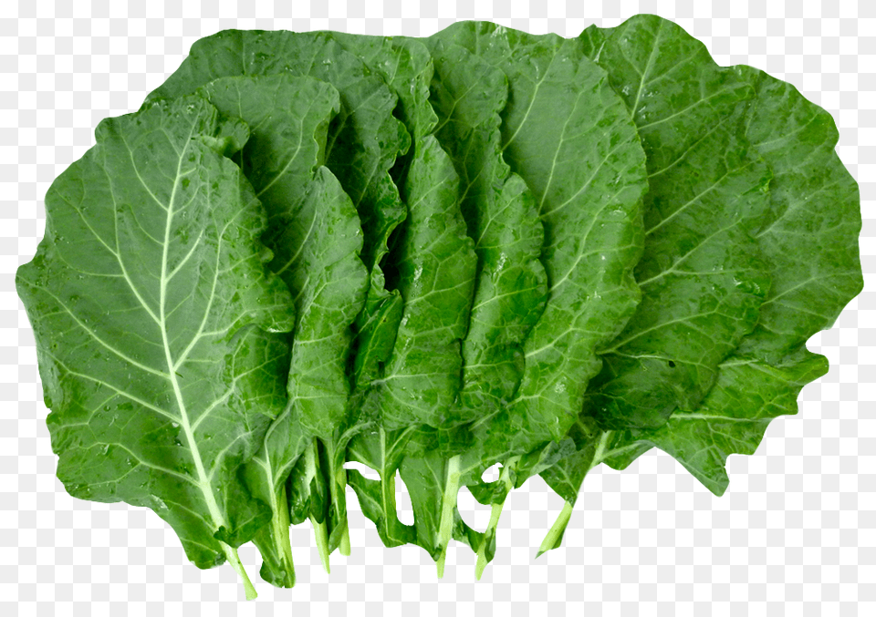 Organic Collard Greens Image, Food, Plant, Produce, Leafy Green Vegetable Free Png Download