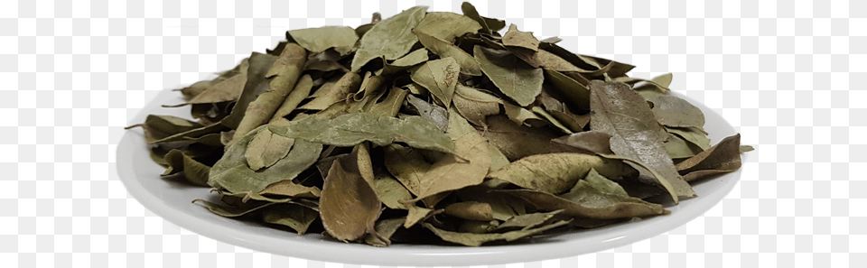 Organic Curry Leafs Scrap, Herbal, Herbs, Leaf, Plant Free Png