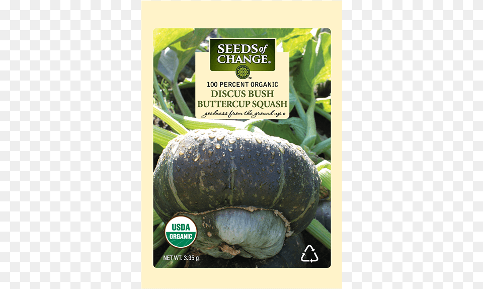 Organic Discus Bush Buttercup Winter Squash Seeds Seeds Of Change, Food, Plant, Produce, Vegetable Png