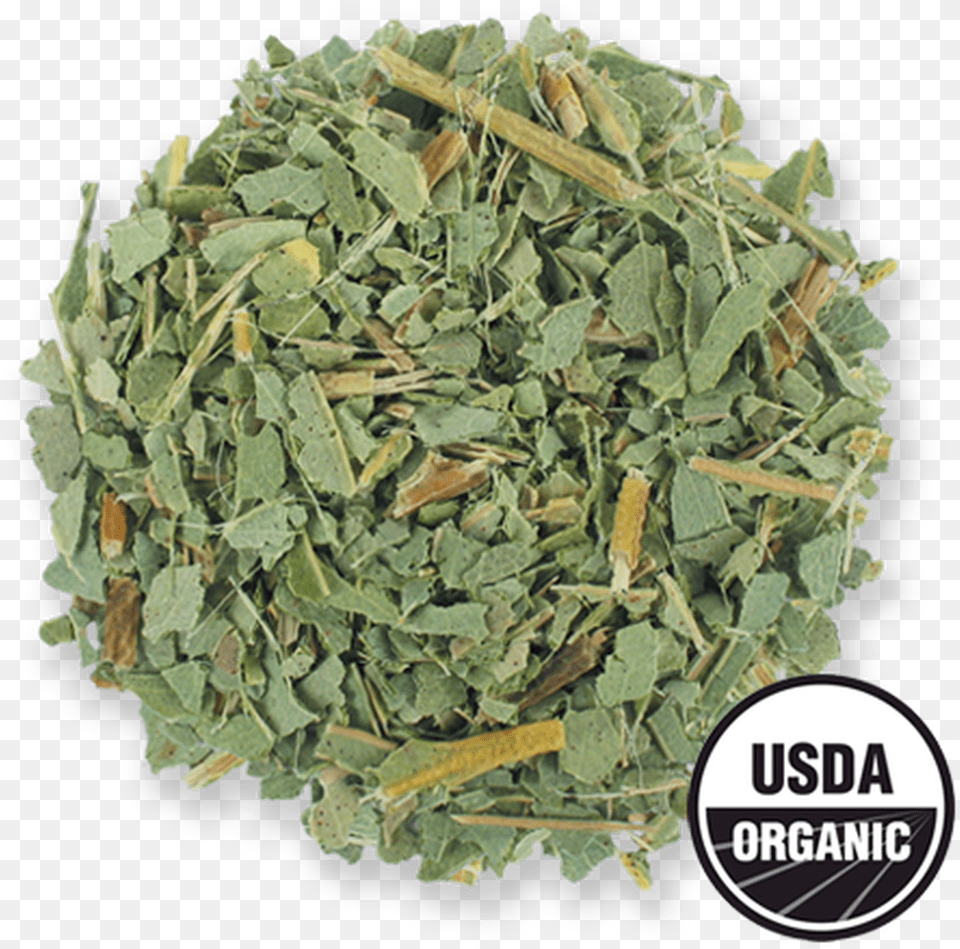 Organic Eucalyptus Leaf Whole Herb From The Jasmine Common Sage, Herbal, Herbs, Plant Free Transparent Png