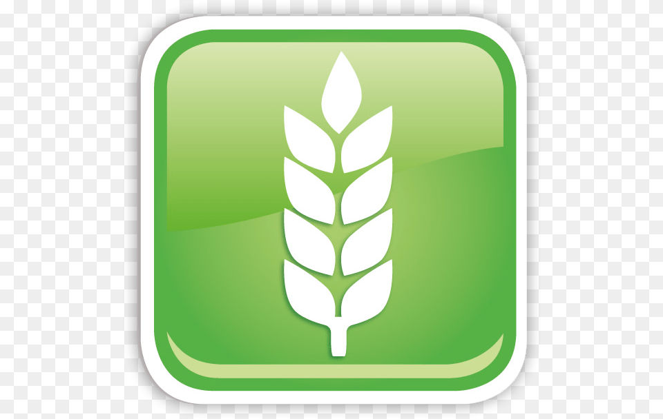 Organic Fluorinated Compounds Icon Agrochemicals Emblem, Green, Leaf, Plant Png