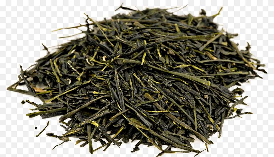 Organic Gyokuro Green Tea Gyokuro, Plant, Beverage, Green Tea Free Png Download