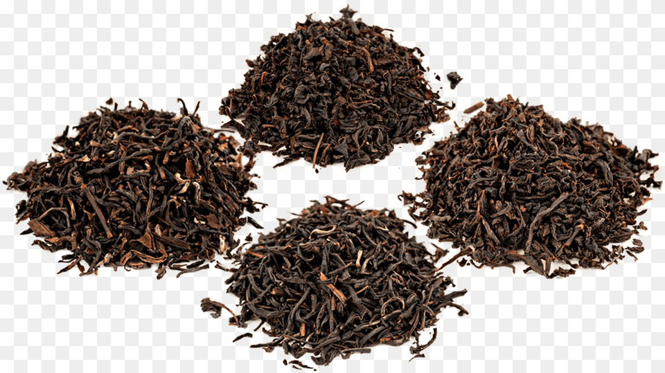 Organic Indian Black Tea Sampler Organic Black Tea, Soil, Plant, Tobacco Free Png Download