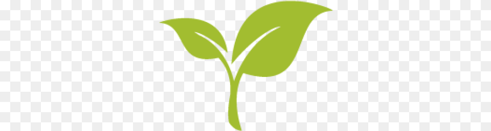 Organic Leaf 3 Image Clip Art, Herbal, Herbs, Plant Free Png