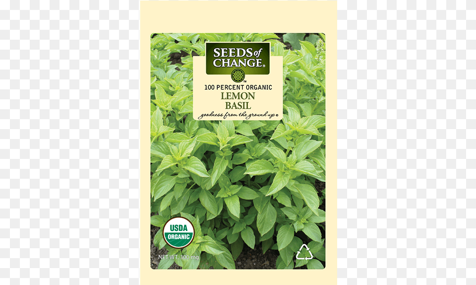 Organic Lemon Basil Seeds Organic, Herbal, Herbs, Mint, Plant Free Transparent Png