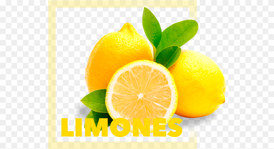 Organic Lemons, Citrus Fruit, Food, Fruit, Lemon Png Image