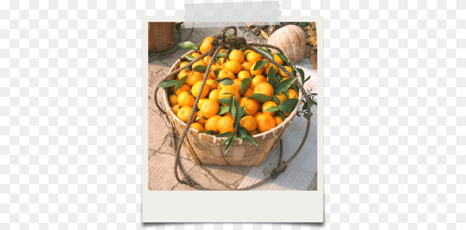 Organic Mandarin Oranges U2013 Edward U0026 Sons Trading Co Clementine, Citrus Fruit, Food, Fruit, Plant Png Image