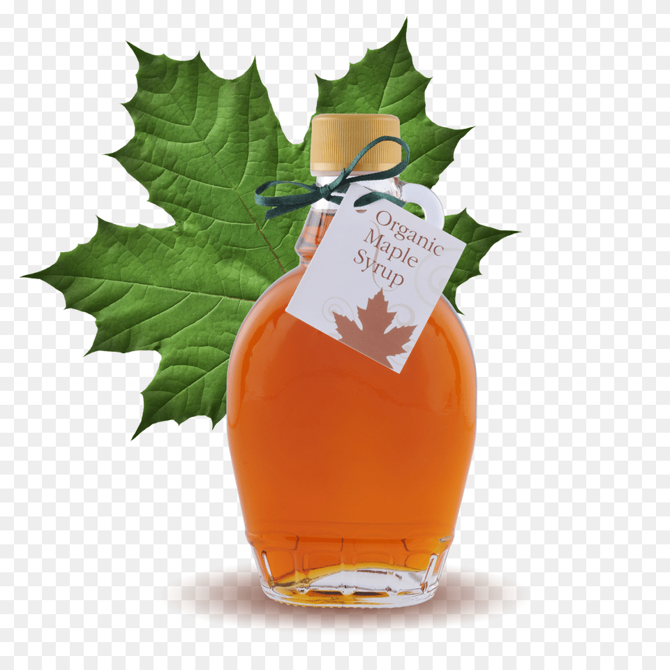 Organic Maple Syrup Classic Bottle Buy Organic, Food, Leaf, Plant, Seasoning Free Png