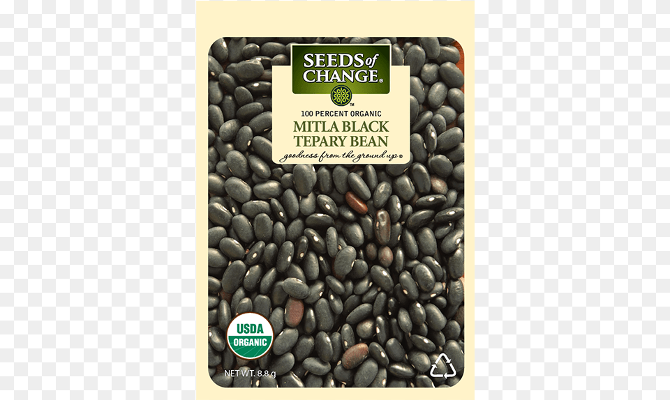 Organic Mitla Black Tepary Dry Soup Bean Seeds Seeds Of Change, Pebble, Food, Plant, Produce Free Transparent Png