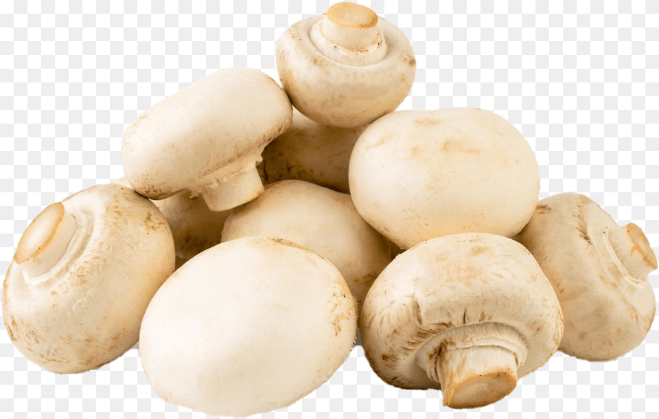 Organic Mushroom Background Mushroom, Fungus, Plant, Agaric, Amanita Png