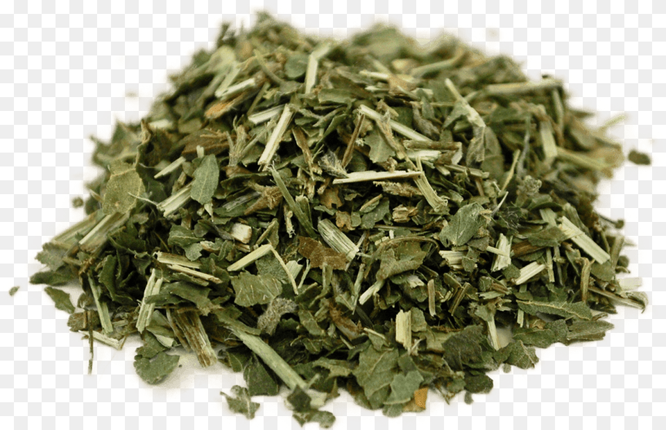 Organic Nettle Leaf Pouchong, Herbal, Herbs, Plant Png Image