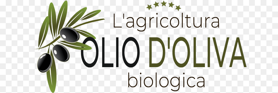 Organic Olive Oil Cultivation Organic Farming Italy, Vegetation, Plant, Leaf, Fruit Free Png
