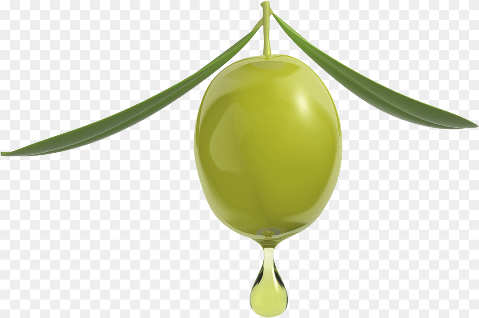 Organic Olive Squalene Oil Amp Serum Goccia Olio, Leaf, Plant, Food, Fruit Png Image