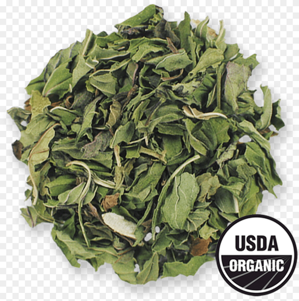 Organic Peppermint From The Jasmine Pearl Tea Co Spring Greens, Herbal, Herbs, Plant, Leaf Png