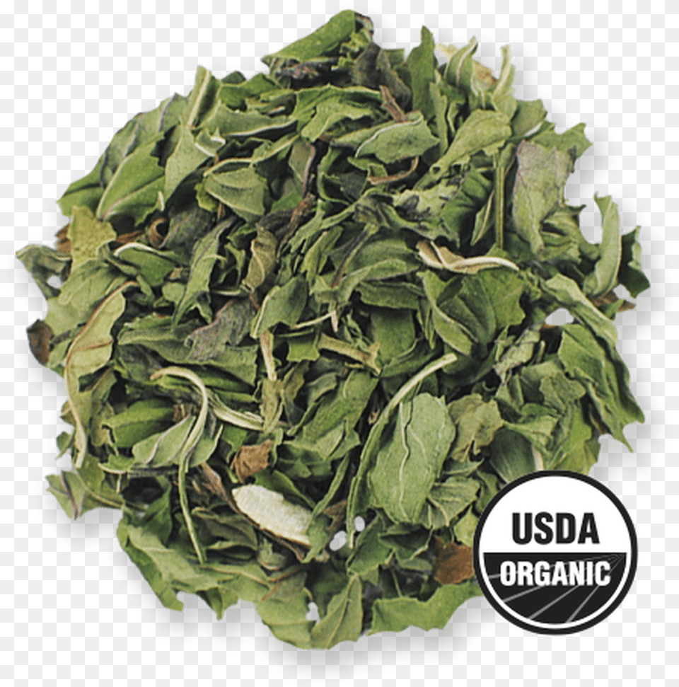 Organic Peppermint From The Jasmine Pearl Tea Co Spring Greens, Herbal, Herbs, Plant, Food Free Png