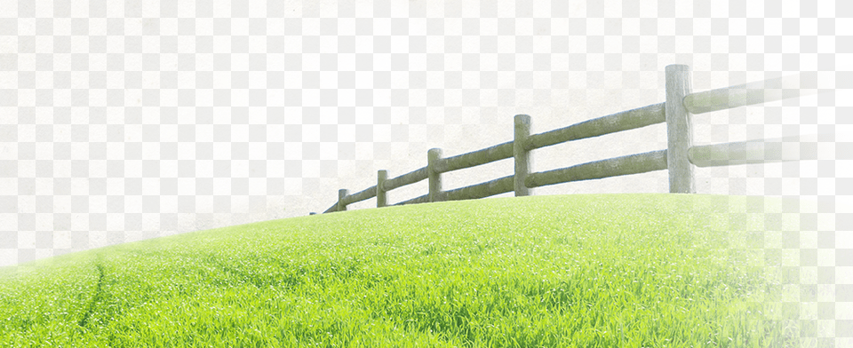 Organic Prairie Split Rail Fence, Grass, Plant, Lawn, Backyard Png Image