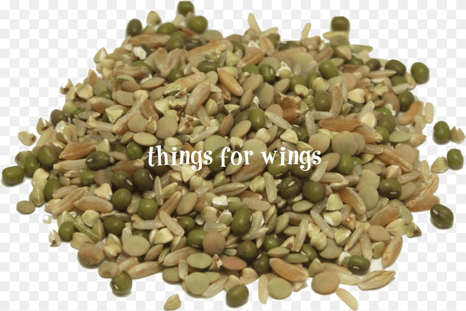 Organic Protein Power Sprout Mix, Plant, Food, Produce, Bean Png