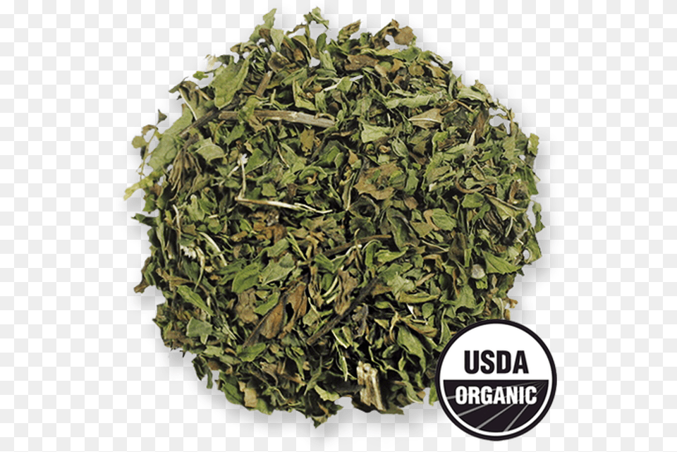 Organic Spearmint From The Jasmine Pearl Tea Co Common Sage, Herbal, Herbs, Plant Free Png