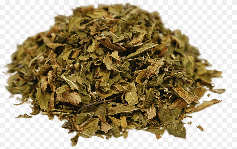 Organic Spearmint Leaf, Herbal, Herbs, Plant, Tobacco Free Png