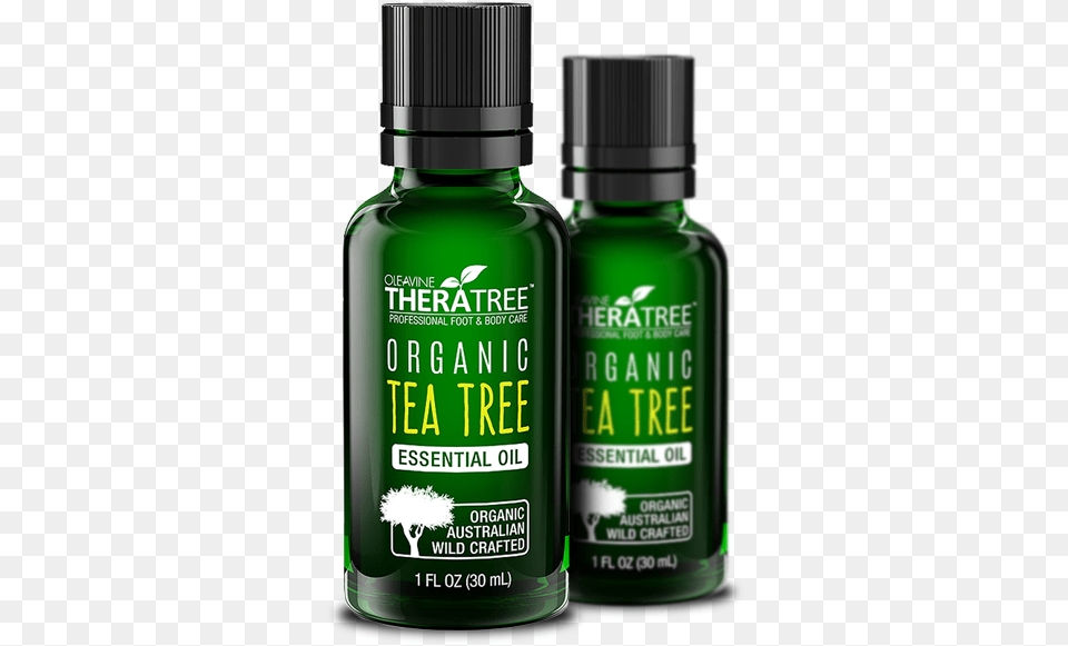 Organic Tea Tree Oil, Bottle, Aftershave, Cosmetics, Perfume Free Png