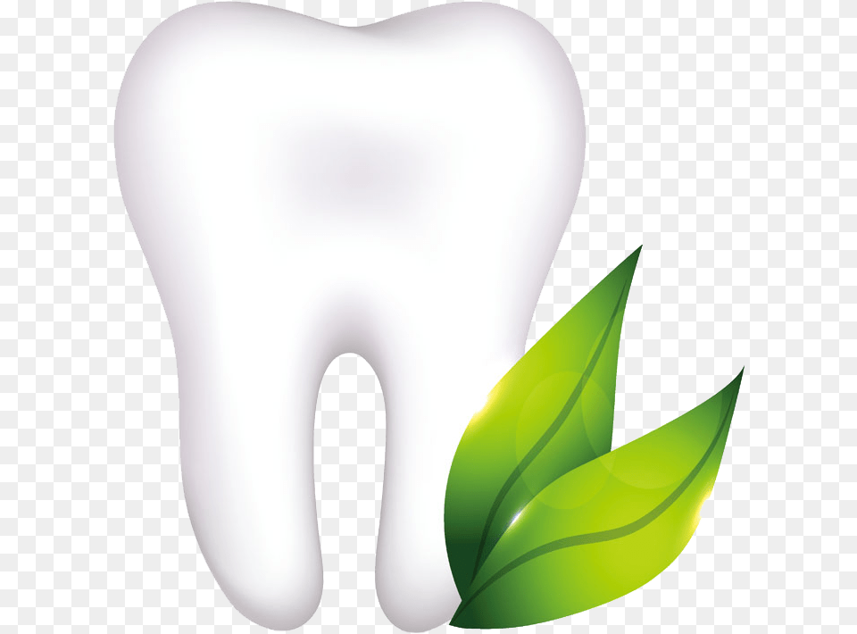 Organic Tooth Illustration, Leaf, Plant, Logo Free Png