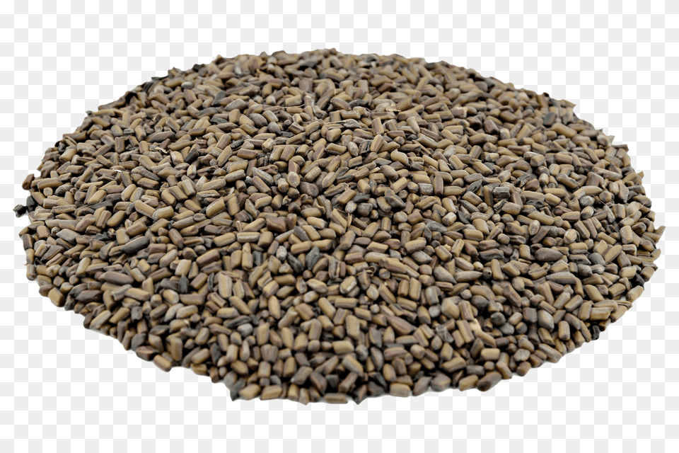 Organic Tora Seeds Online Organic Tora Seeds Exporter Wholesale, Food, Produce, Grain Free Png