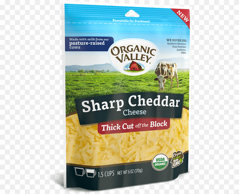 Organic Valley Sharp Cheddar Cheese, Animal, Cattle, Cow, Livestock Free Png Download