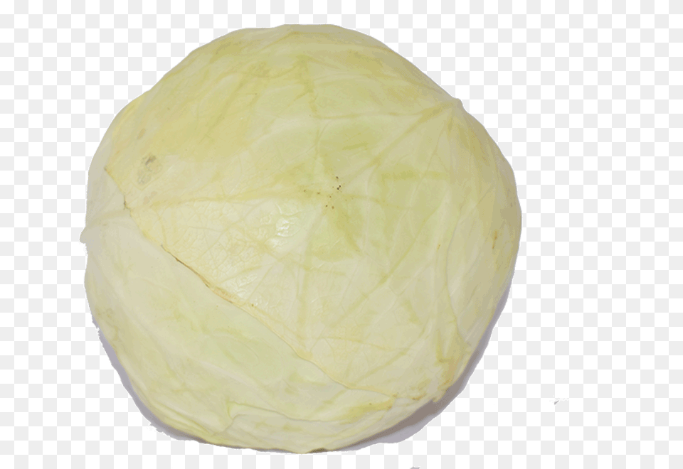 Organic White Cabbage Savoy Cabbage, Food, Leafy Green Vegetable, Plant, Produce Free Png