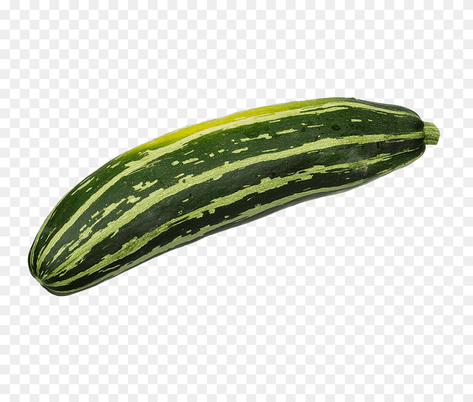 Organic Zucchini, Food, Produce, Animal, Insect Free Png