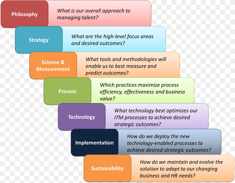 Organizational Dynamics Planning Essay Need Essay Sample Talent Management Process Steps, Text Free Png Download