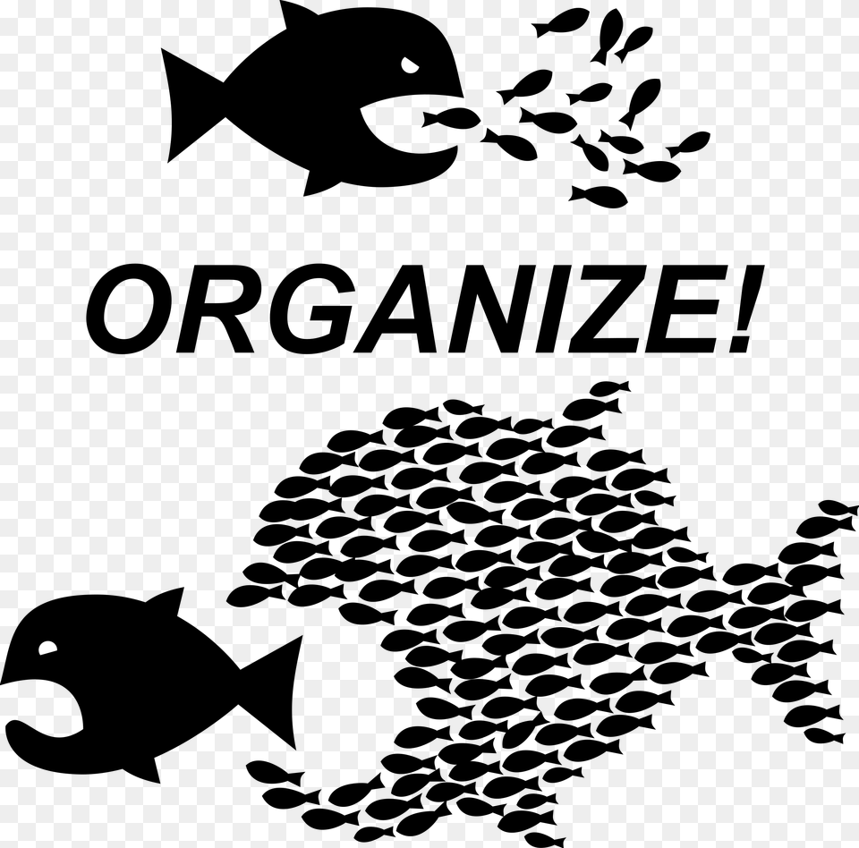 Organize Workers Unite Organize Fish, Lighting Free Transparent Png