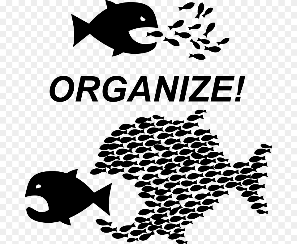 Organize Workers Unite Organize Fish, Lighting Free Png