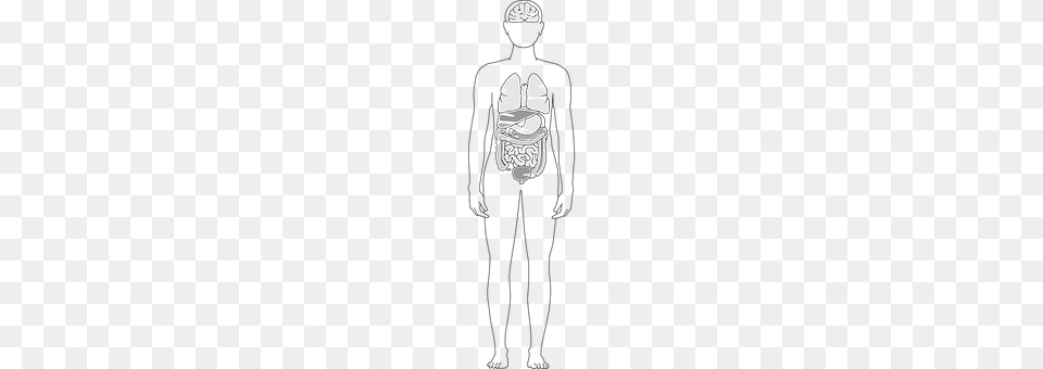 Organs Clothing, Glove Free Png Download