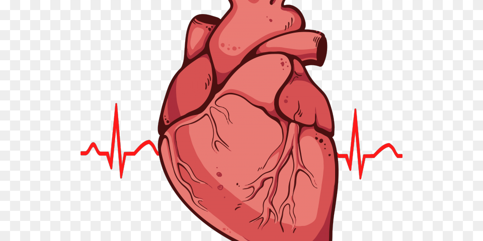 Organs Clipart Biological Heart, Body Part, Mouth, Person, Tongue Png Image