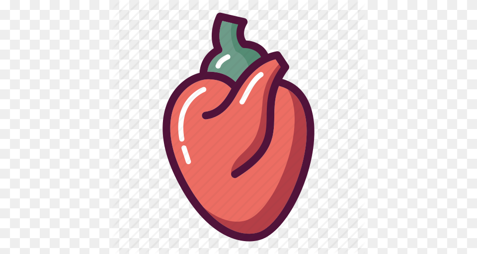 Organs Clipart Heart Muscle, Bell Pepper, Food, Pepper, Plant Free Png