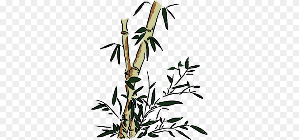 Orient 26 Oriental, Plant, Tree, Person Free Transparent Png