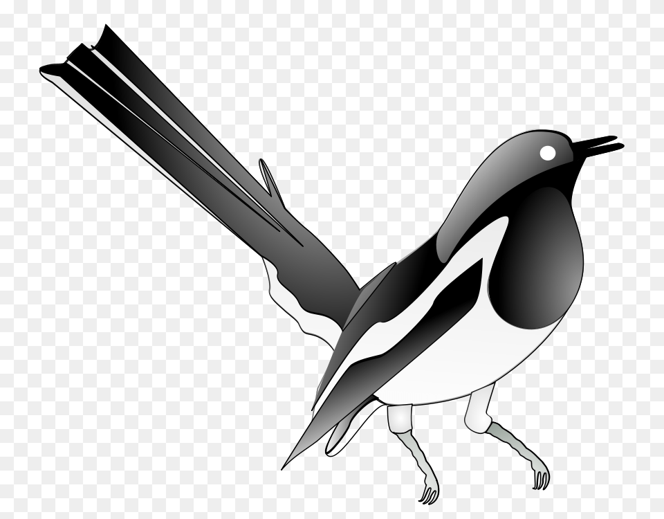 Oriental Magpie Robin Clip Arts For Web, Animal, Bird, Smoke Pipe Free Transparent Png