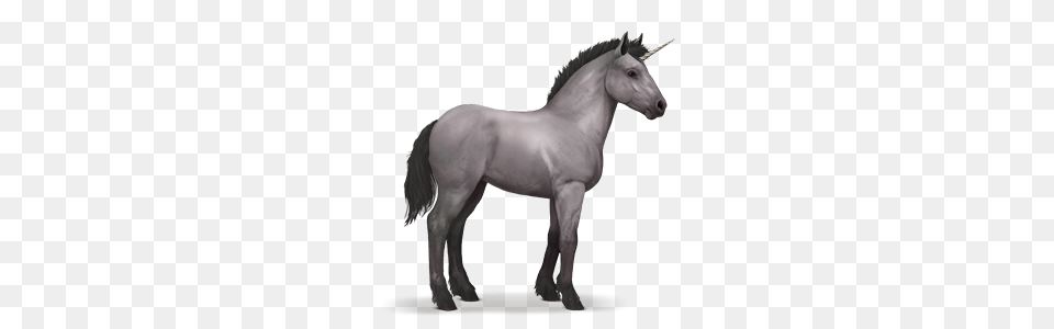 Orig, Andalusian Horse, Animal, Horse, Mammal Free Transparent Png