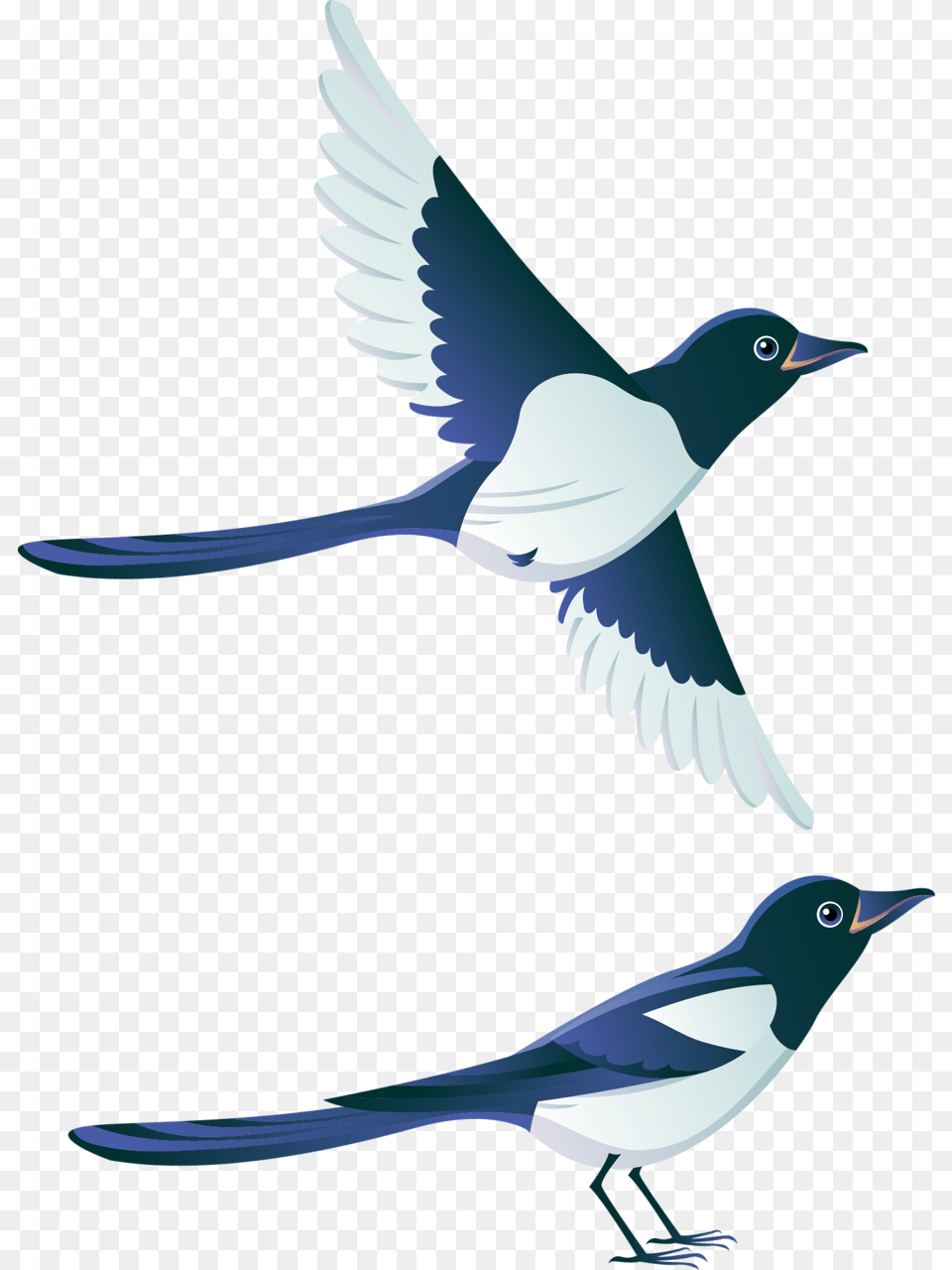 Orig Bird Clip Art Birds, Animal, Magpie Free Png Download