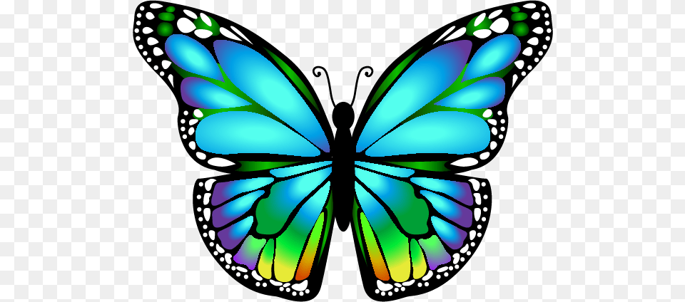 Orig Butterflies Bugs, Art, Animal Png Image