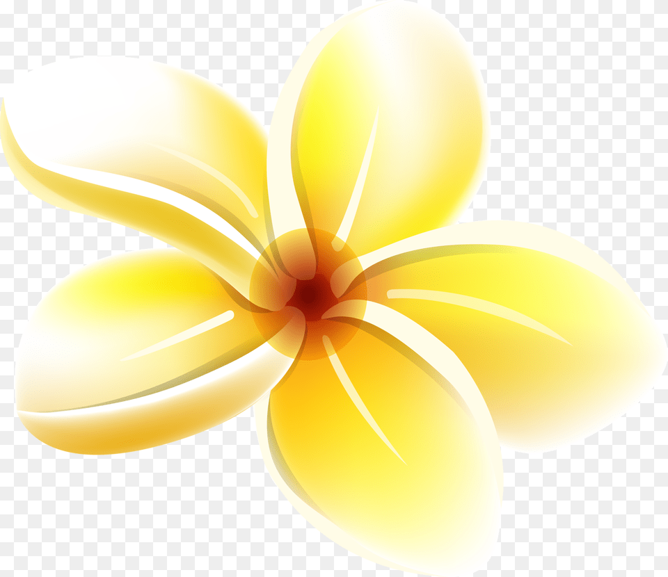 Orig Clip, Flower, Petal, Plant, Daffodil Png