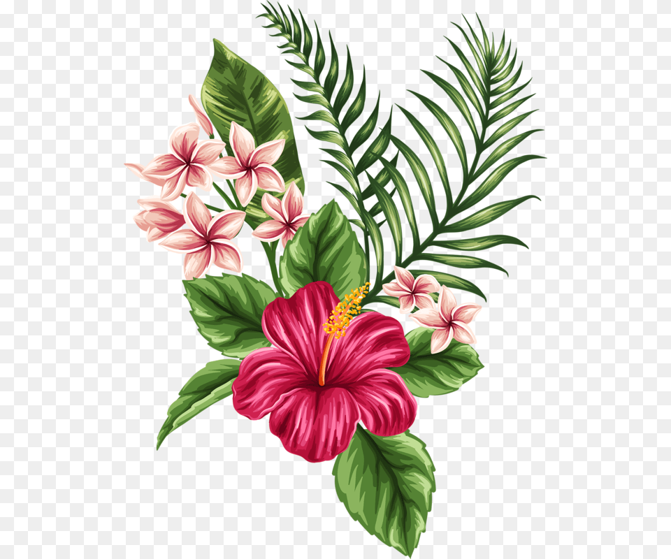 Orig In Tattoo Ideas, Flower, Plant, Hibiscus, Pattern Free Png Download